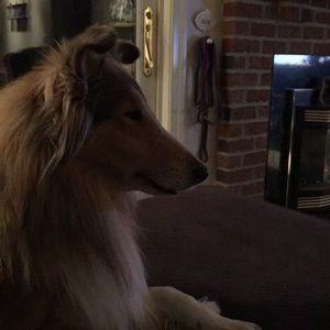 Meet your Posher, Sharon